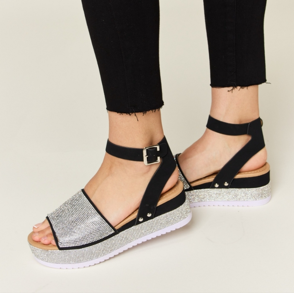 Harmony In Nature Black and Silver Wedges